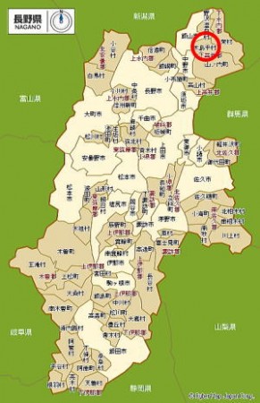 令和3年【青森県　青天の霹靂】限定品