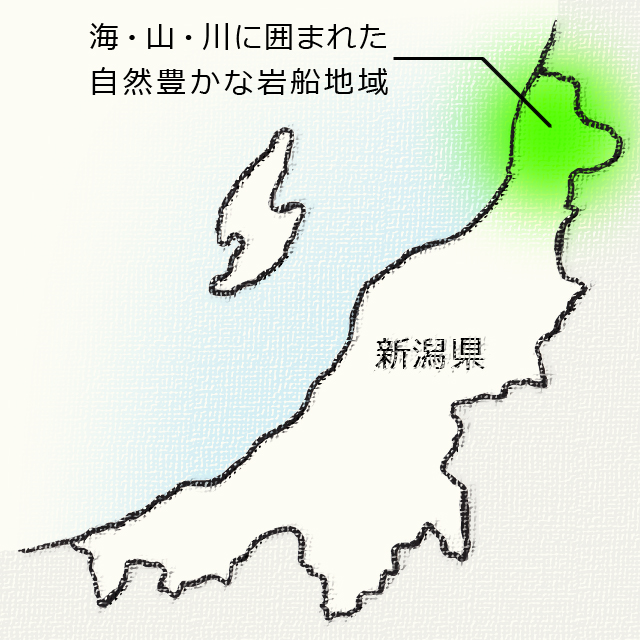 令和3年【青森県　青天の霹靂】限定品